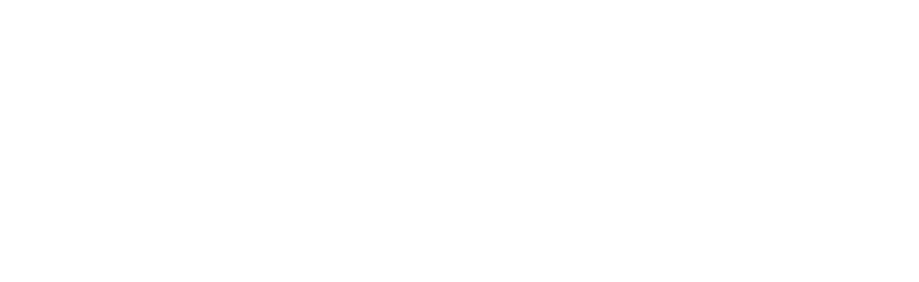 logo DebarrasMaisonFrance